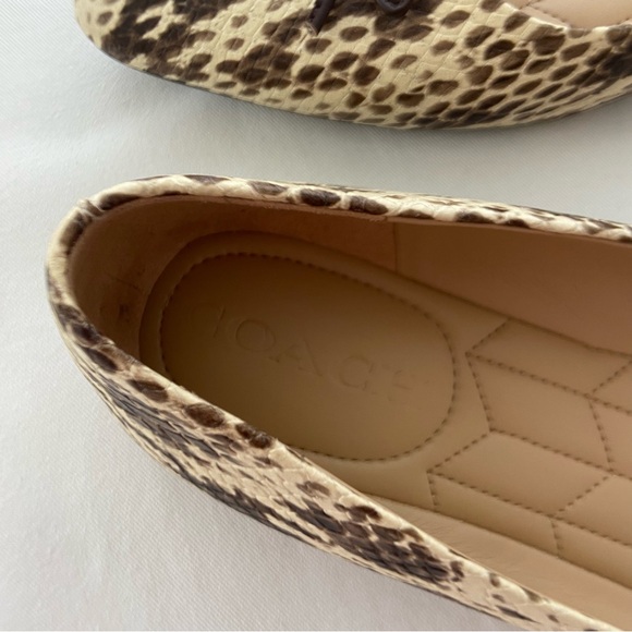Coach Annabel Snakeskin Pointed Toe Ballet Flats - Picture 11 of 16